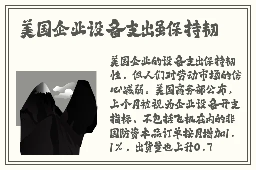 整篇都是车的多肉过程PO
